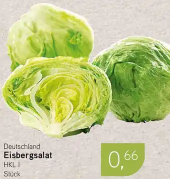 Dornseifer Deutschland Eisbergsalat Angebot