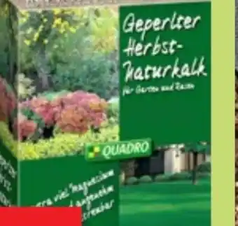 Thomas Philipps Herbst-Naturkalk Angebot
