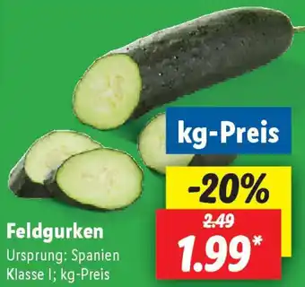 Lidl Feldgurken Angebot