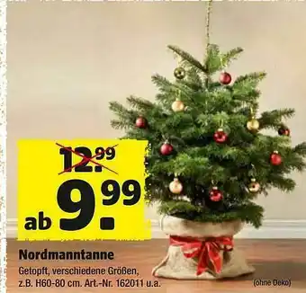 Hagebau Nordmanntanne Angebot