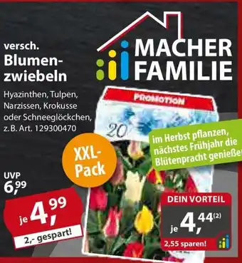 Sonderpreis Baumarkt versch. Blumen- zwiebeln Angebot