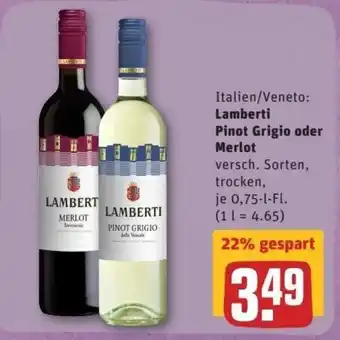 REWE Center Lamberti Pinot Grigio oder Merlot Angebot