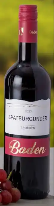 Lidl Spätburgunder Baden QbA, Rotwein, trocken 0,75 L Angebot