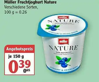 Globus Müller Fruchtjoghurt Nature Angebot