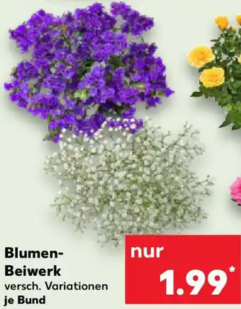 Kaufland Blumen Beiwerk Angebot