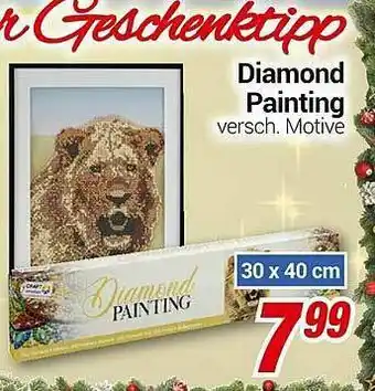CENTERSHOP Diamond Painting Angebot