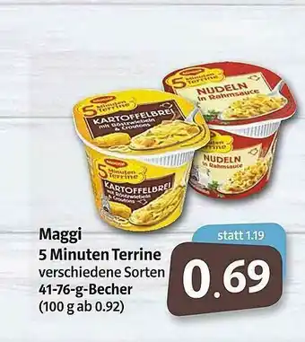 Markant Markt Maggi 5 Minuten Terrine Angebot