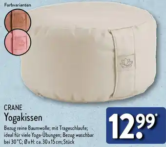 Aldi Nord CRANE Yogakissen Angebot