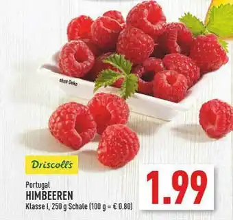 Marktkauf Driscoll's Himbeeren Angebot