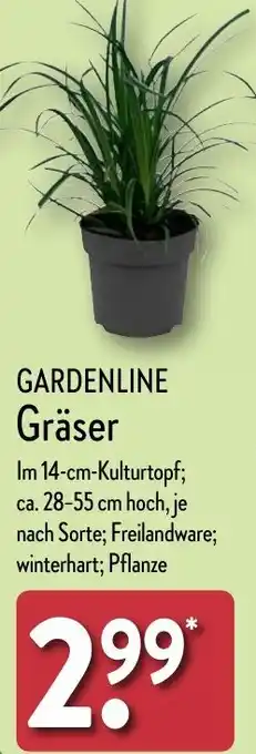 Aldi Nord GARDENLINE Gräser Angebot
