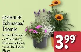 Aldi Nord GARDENLINE Echinacea/ Triomix Angebot