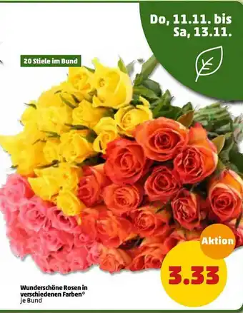 PENNY Wunderscheibe Rosen In Verschiedenen Farben Angebot