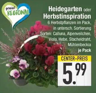 E-Center Heidegarten oder Herbstinspiration Angebot