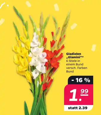 NETTO Gladiolen „Glamini❝ Angebot