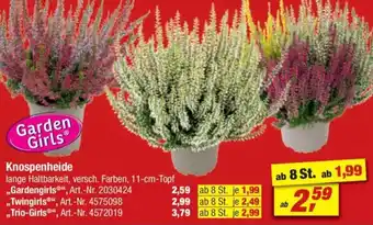 toom Baumarkt Garden Girls Knospenheide Angebot