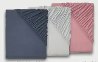 Lidl Jersey-Spannbettlaken Angebot