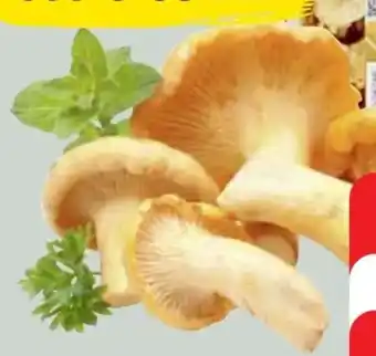 Edeka Pfifferlinge Angebot