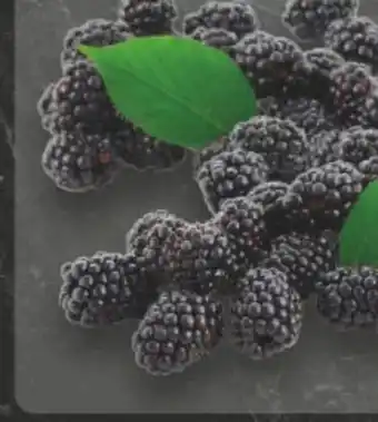 E-Center Brombeeren Angebot