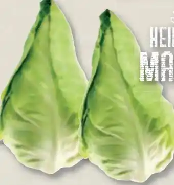 Marktkauf Spitzkohl Angebot