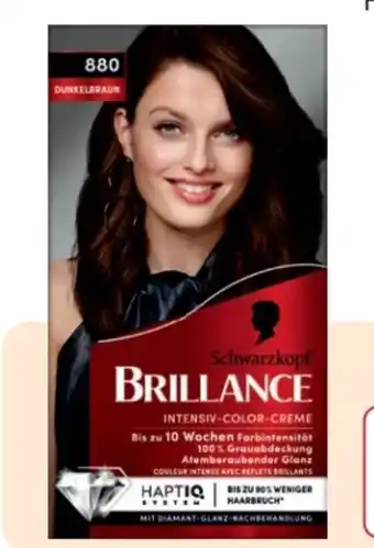 Rossmann Brillance Coloration Angebot