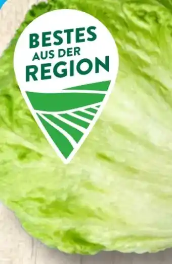 Aldi Süd Eisbergsalat Angebot