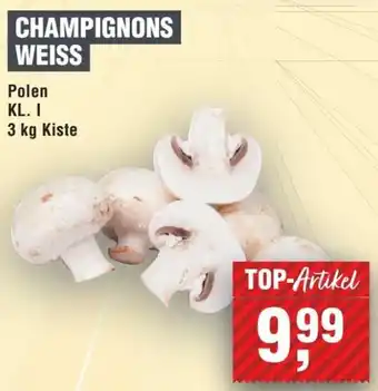 Handelshof Champignons weiss 3 kg kiste Angebot