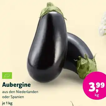 Biomarkt Aubergine Angebot