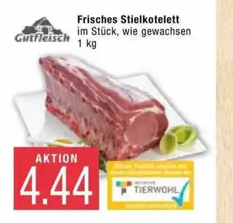 Marktkauf Frisches Stielkotelett Angebot