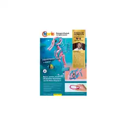 Netto Marken-Discount CBionic Baustein-Set Seepferdchen Angebot