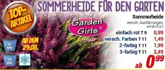 CENTERSHOP Sommerheide Angebot