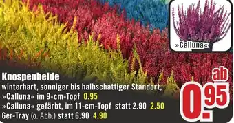 B1 Discount Baumarkt Knospenheide Angebot