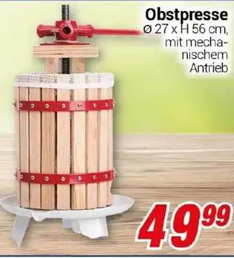 CENTERSHOP Obstpresse Angebot