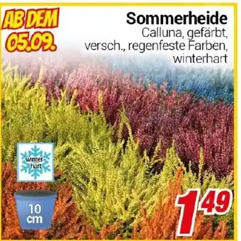 CENTERSHOP Sommerheide Angebot
