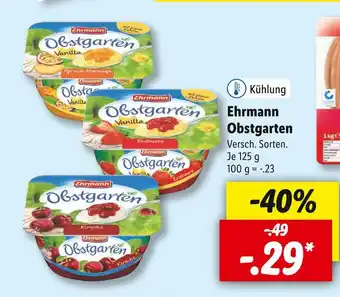 Lidl Ehrmann obstgarten Angebot