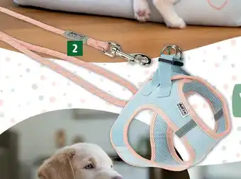 Fressnapf AniOne Pepe & Kitty Westengeschirr oder Führleine Angebot