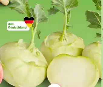 PENNY Kohlrabi Angebot