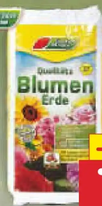 Netto Marken-Discount Blumenerde Angebot