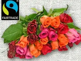 nahkauf Rosen-Duo Angebot