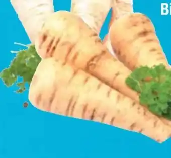 E-Center Bio Pastinaken Angebot
