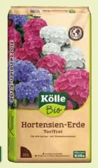 Pflanzen Kölle Hortensien-Erde-Torffrei Angebot
