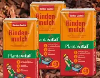 Pflanzen Kölle Rindenmulch Angebot