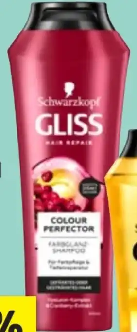 Thomas Philipps Gliss Shampoo Angebot