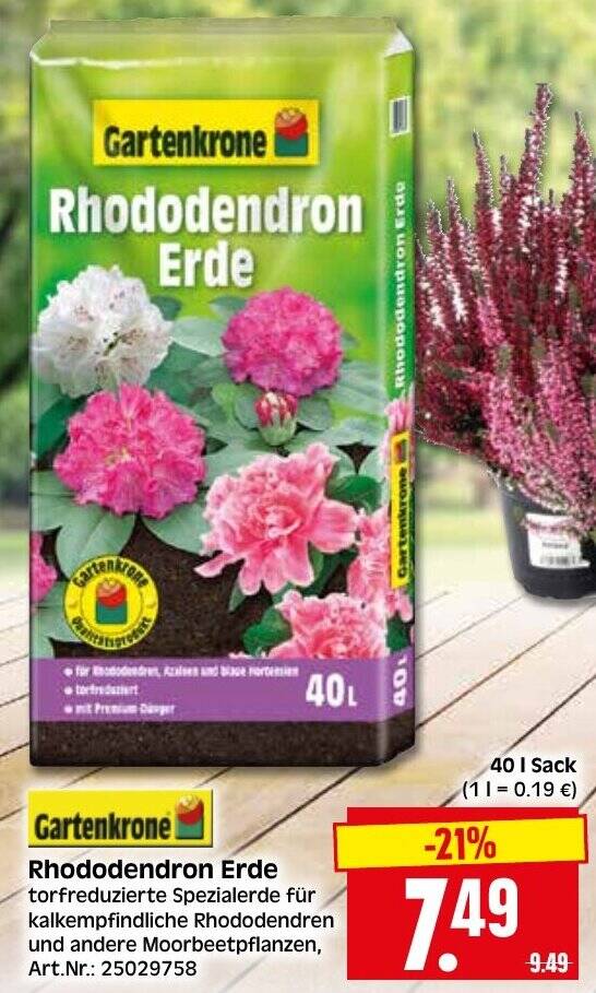 Gartenkrone Rhododendron Erde Angebot bei Herkules Baumarkt
