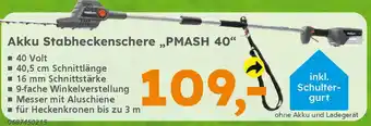 Globus Baumarkt PRIMASTER Akku Stabheckenschere „PMASH 40" Angebot