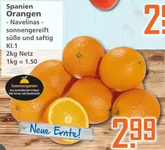 Klaas und Kock Spanien Orangen 2kg Angebot