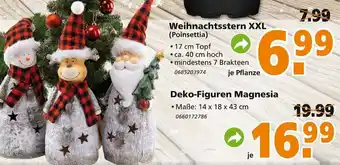 Globus Baumarkt Deko-Figuren Magnesia Angebot