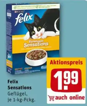 REWE PETZ Felix Sensations Angebot