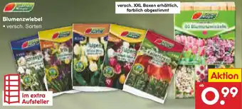Netto Marken-Discount Blumenzwiebel Angebot