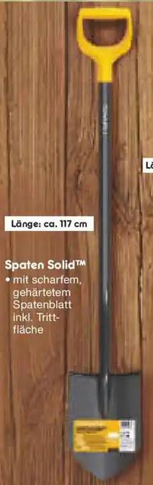 Netto Marken-Discount FISKARS Spaten Solid Angebot