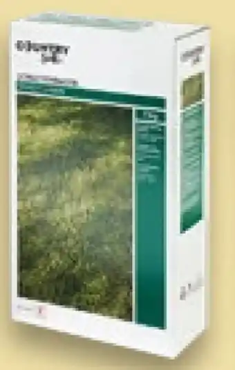 Kaufland Schattenrasen Angebot